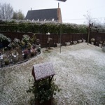Snowy Day Garden Photo